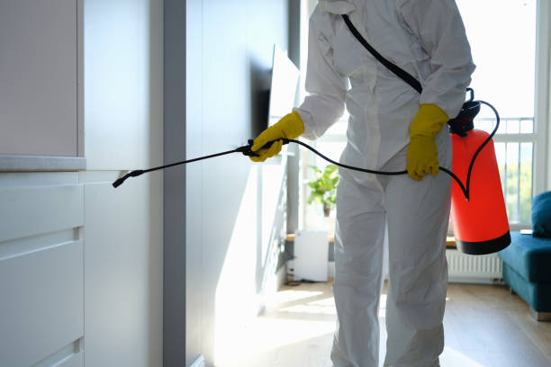 Professional Mold Inspection, Removal & Remediation in Discovery Harbour, HI